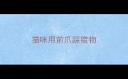 猫咪用前爪踩猎物