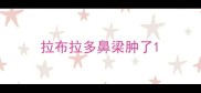 拉布拉多鼻梁肿了