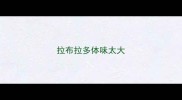 拉布拉多体味太大