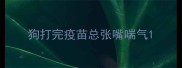 狗打完疫苗总张嘴喘气