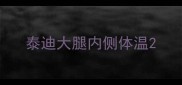 泰迪大腿内侧体温