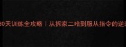 哈士奇30天训练全攻略从拆家二哈到服从指令的逆袭之路