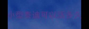 小型泰迪可以活多久