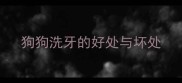狗狗洗牙的好处与坏处