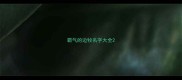 霸气的边牧名字大全
