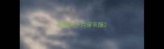 贵宾两个月穿衣服