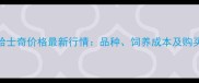 湖北哈士奇价格最新行情品种饲养成本及购买指南