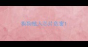 狗狗植入芯片危害