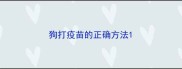狗打疫苗的正确方法