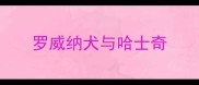 罗威纳犬与哈士奇