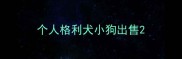 个人格利犬小狗出售