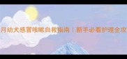 2个月幼犬感冒咳嗽自救指南新手必看护理全攻略