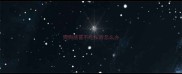 狗狗感冒不吃东西怎么办