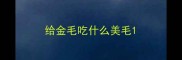给金毛吃什么美毛