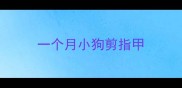 一个月小狗剪指甲
