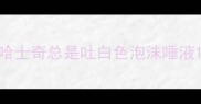 哈士奇总是吐白色泡沫唾液