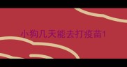 小狗几天能去打疫苗