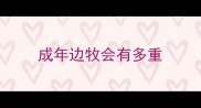 成年边牧会有多重