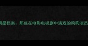 边牧明星档案那些在电影电视剧中演戏的狗狗演员大