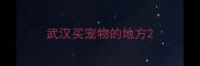 武汉买宠物的地方
