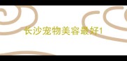长沙宠物美容最好