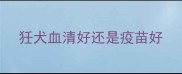 狅犬血清好还是疫苗好