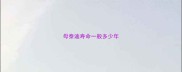 母泰迪寿命一般多少年