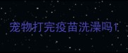 宠物打完疫苗洗澡吗