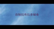 自制拉布拉多辅食