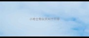 小哈士奇白天叫个不停