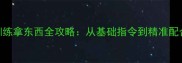 边境牧羊犬训练拿东西全攻略从基础指令到精准配合的7步教程