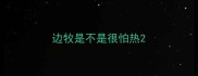 边牧是不是很怕热