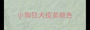 小狗狂犬疫苗颜色