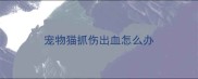 宠物猫抓伤出血怎么办