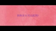 狗狗多大可以配狗