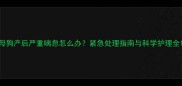 母狗产后严重喘息怎么办紧急处理指南与科学护理全
