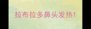 拉布拉多鼻头发热
