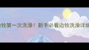 20天大的边牧第一次洗澡新手必看边牧洗澡详细避坑指南