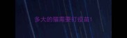 多大的猫需要打疫苗