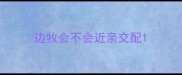 边牧会不会近亲交配