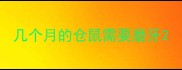 几个月的仓鼠需要磨牙
