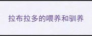 拉布拉多的喂养和驯养