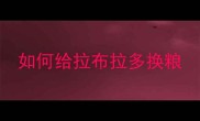 如何给拉布拉多换粮