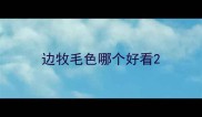 边牧毛色哪个好看
