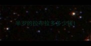 半岁的拉布拉多多少钱