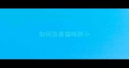 如何改善猫咪胆小
