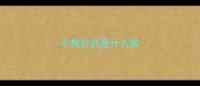 小狗拉血是什么病