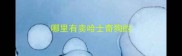 哪里有卖哈士奇狗的