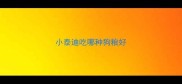 小泰迪吃哪种狗粮好