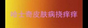 哈士奇皮肤病挠痒痒
